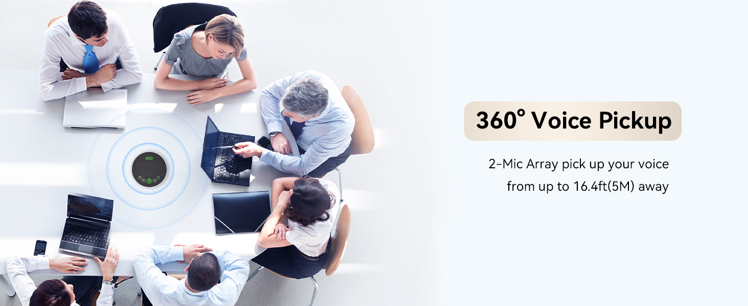 360° Voice Pickup